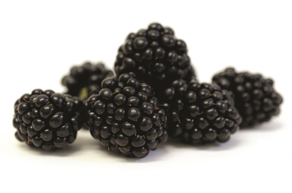 Blackberries
